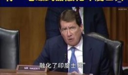 北约官员爆料新闻报道,揭秘北约内部惊人内幕